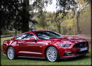 2016 Mustang 5.0GT main image