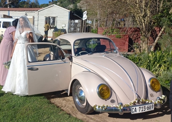 1975 VW Beetle main image