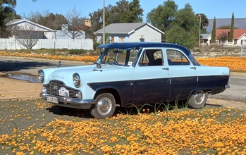 1959 Ford Zephyr main image