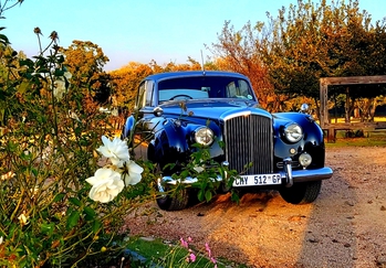 1957 Bentley S1 main image