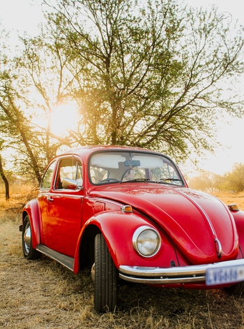 1972 Volkswagen Beetle main image