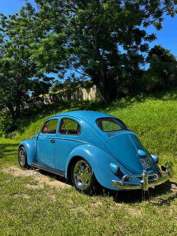 1961 Vw beetle 1965 snowflake early model main image