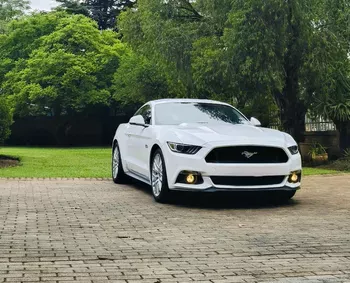 2019 Ford Mustang GT main image